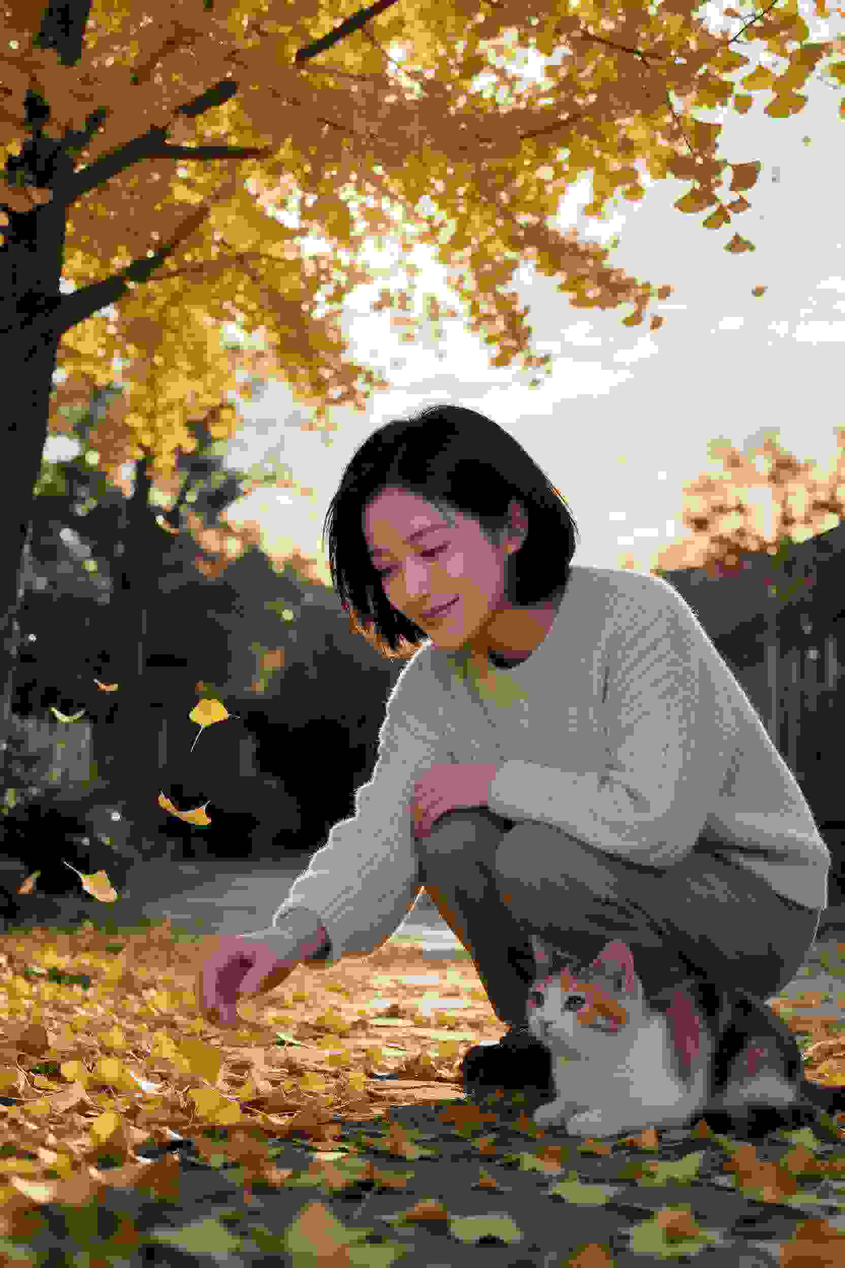 命运轮盘